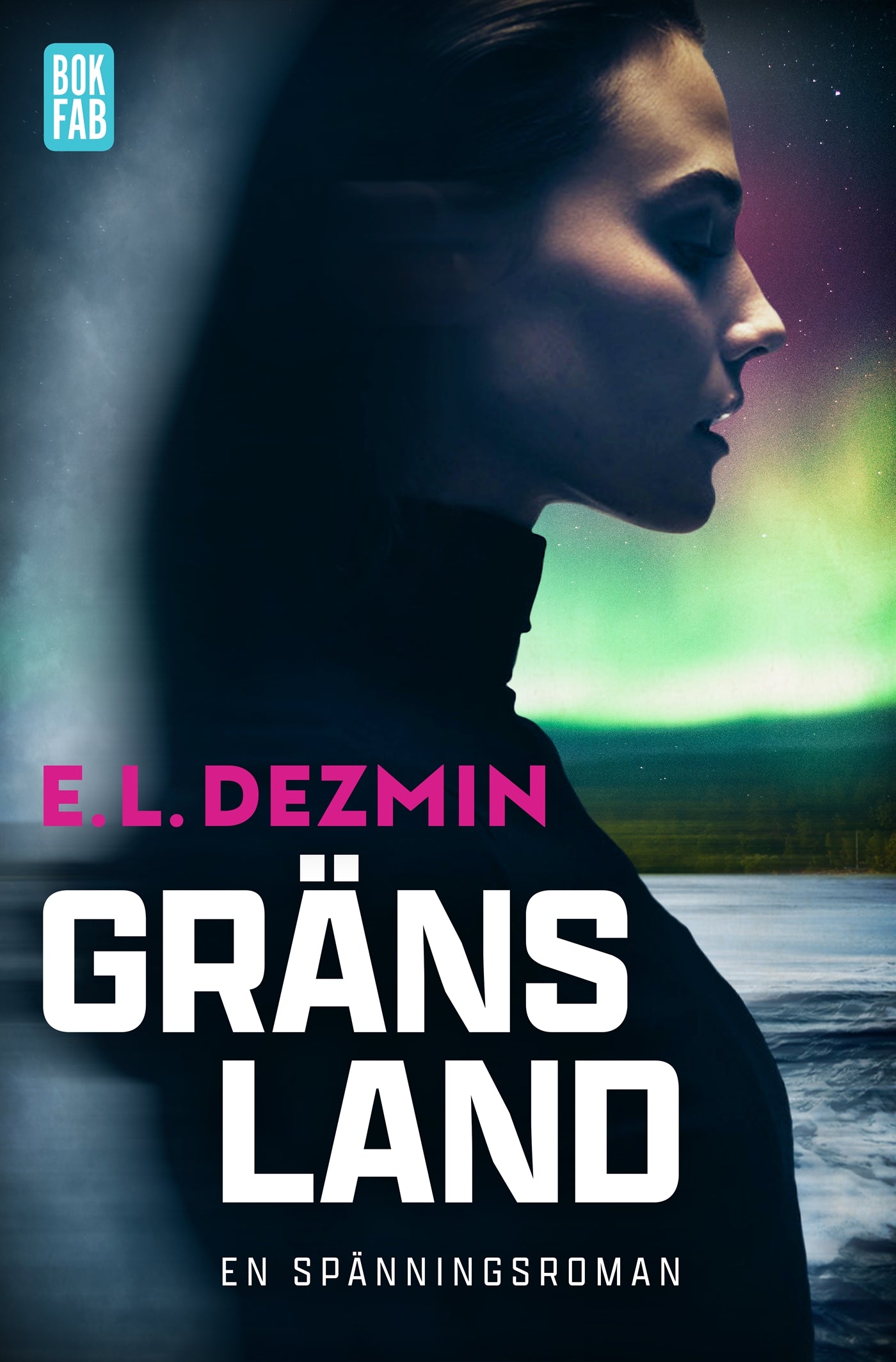 Gränsland – E-bok