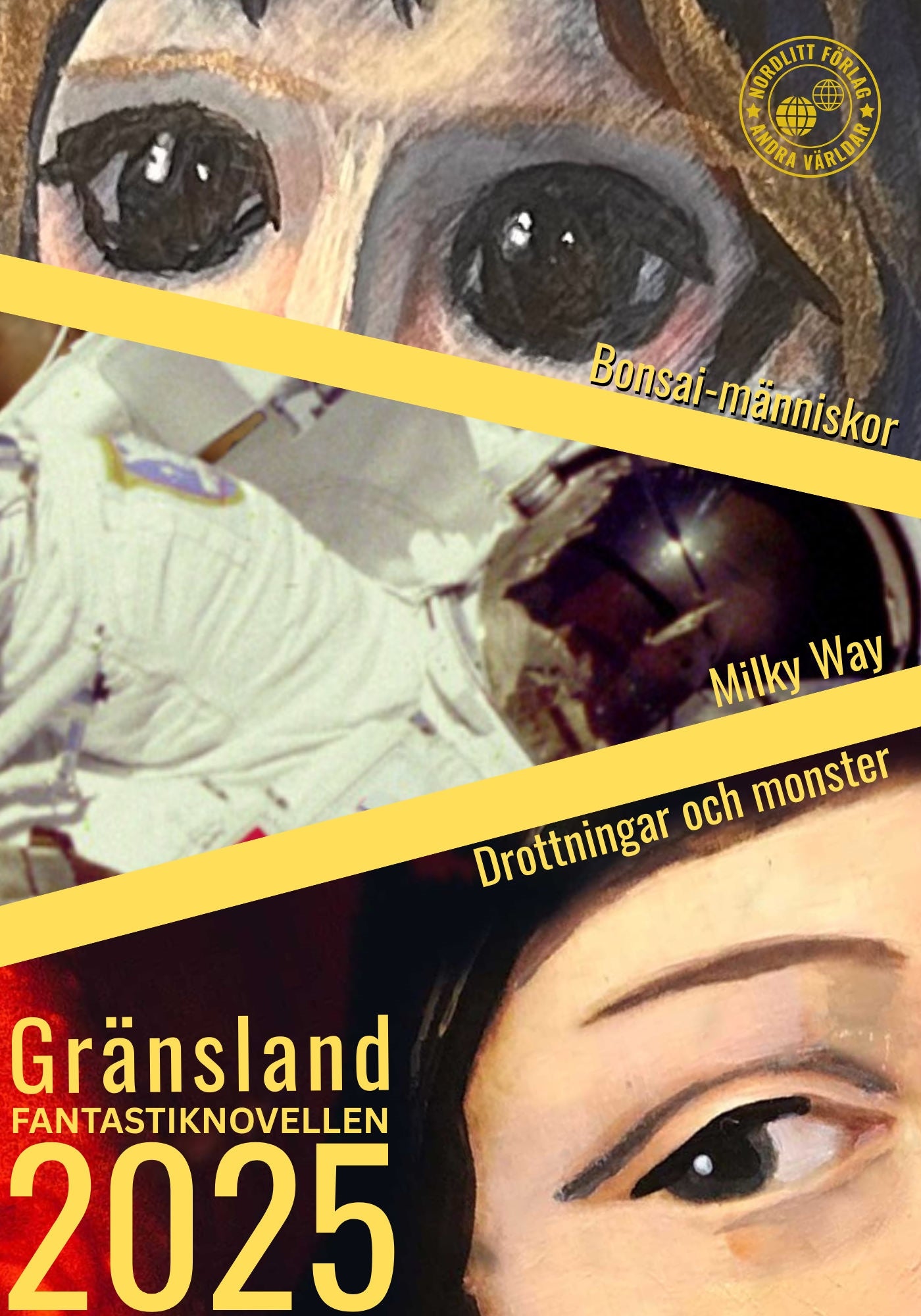 Gränsland  – E-bok