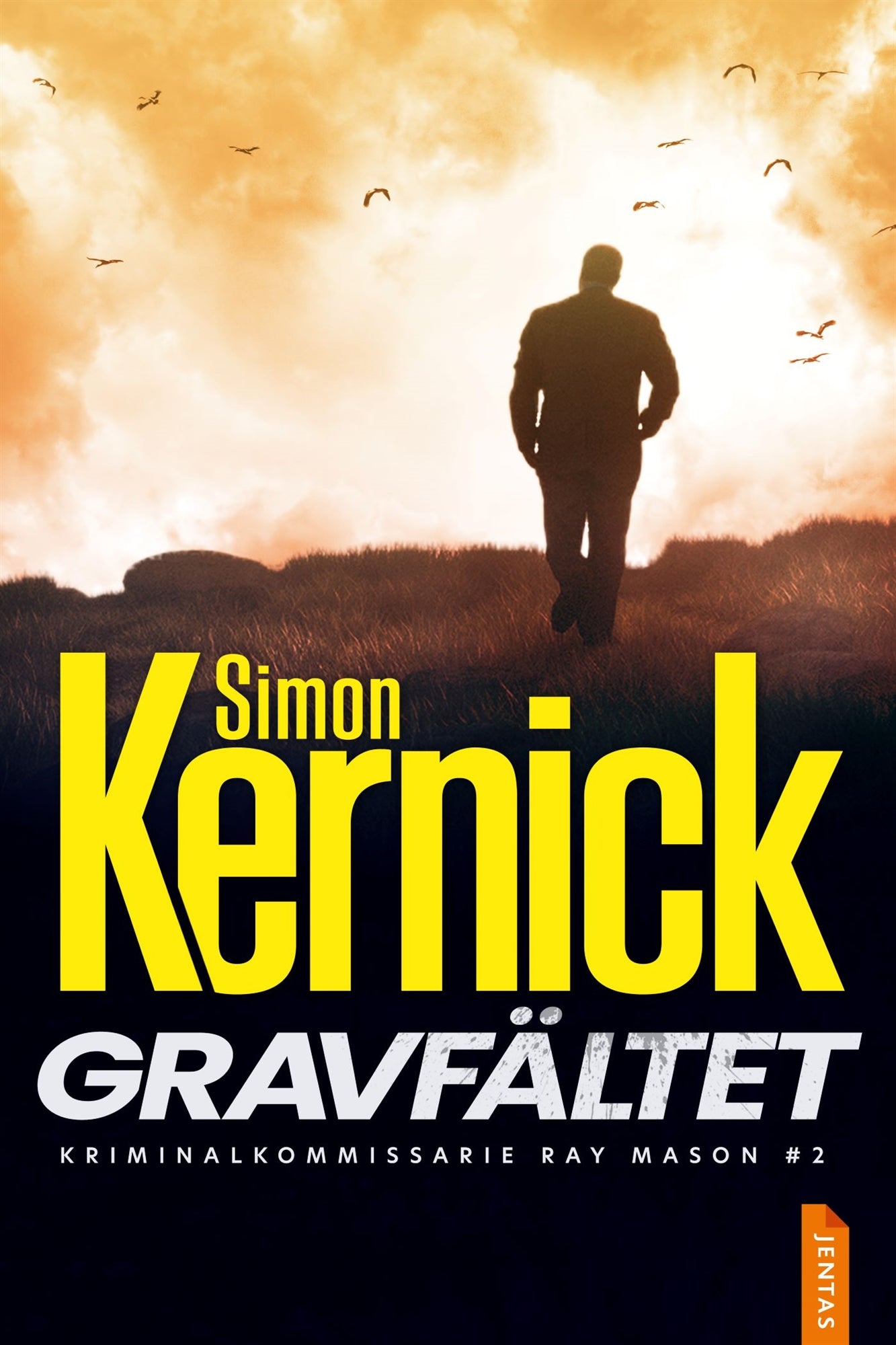 Gravfältet – E-bok