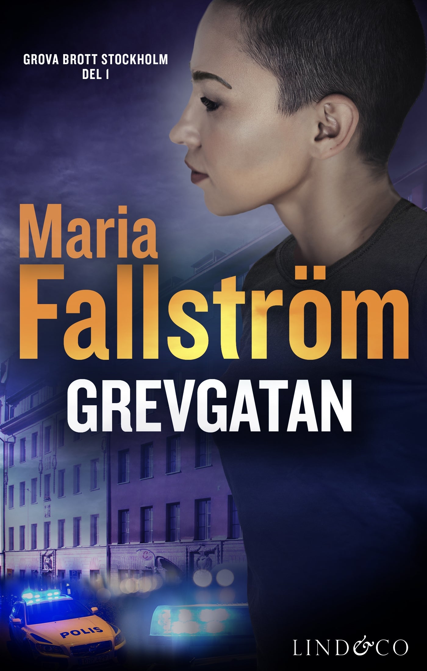Grevgatan – E-bok