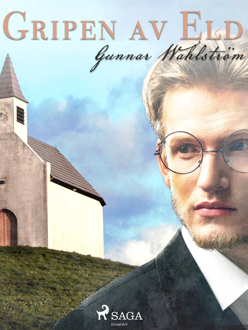 Gripen av eld – E-bok