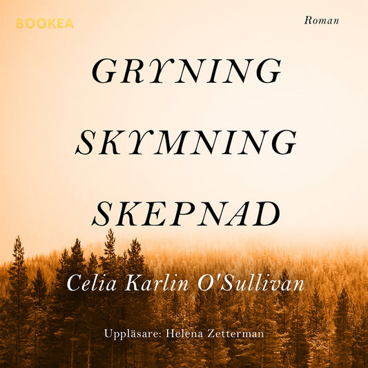 Gryning, skymning, skepnad – Ljudbok