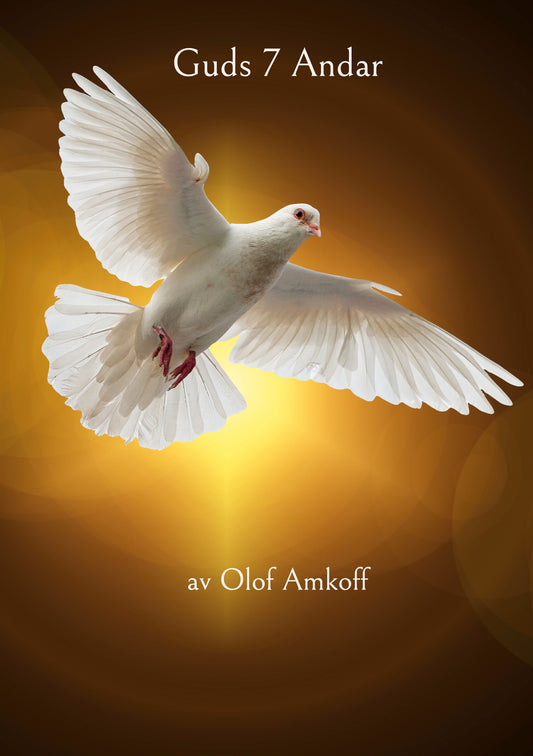 Guds 7 Andar – E-bok