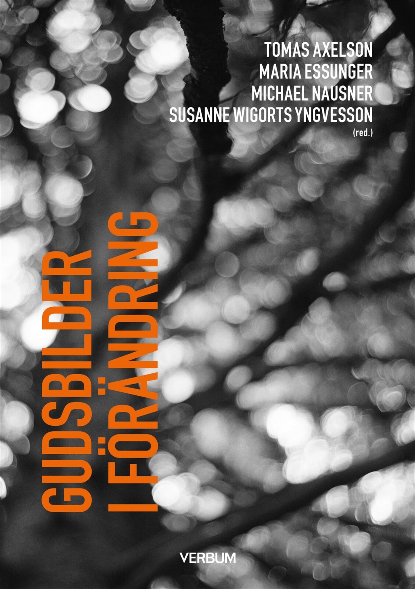 Gudsbilder i förändring – E-bok