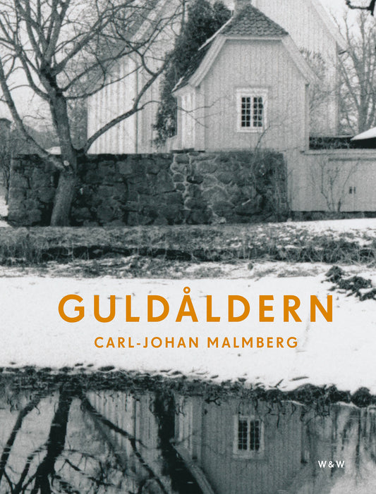 Guldåldern – E-bok