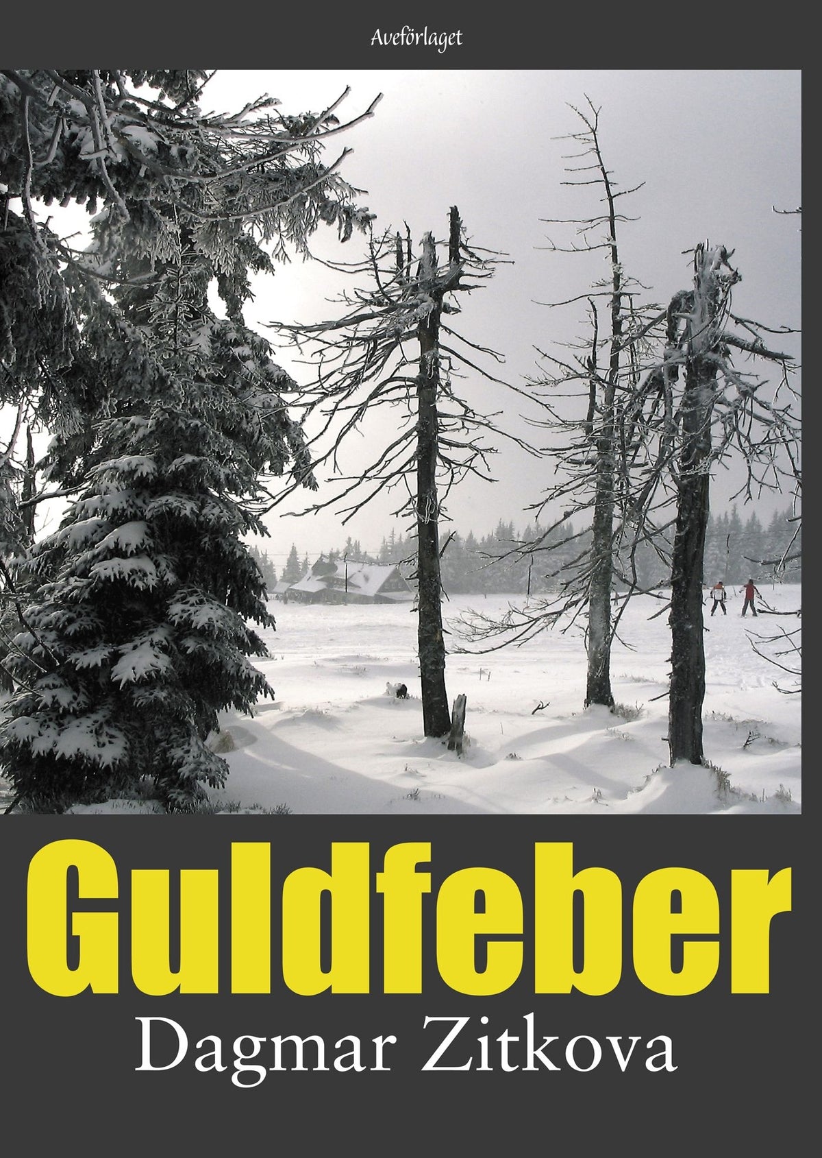 Guldfeber – E-bok