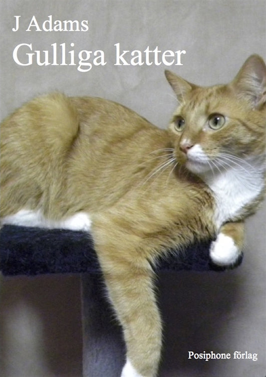 Gulliga katter – E-bok