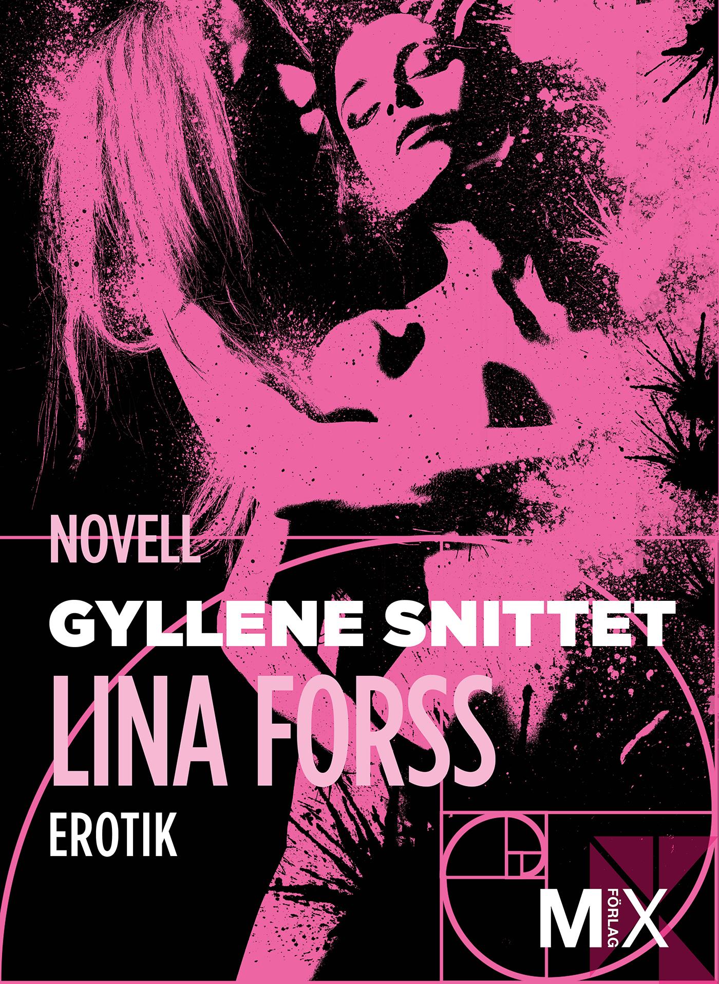 Gyllene snittet – E-bok