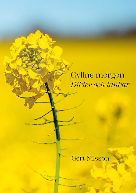 Gyllne morgon: Dikter och tankar – E-bok