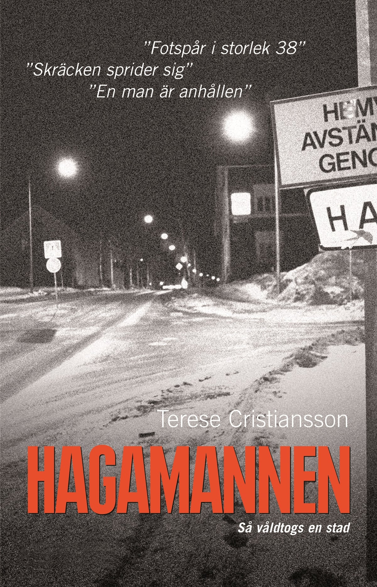 Hagamannen : så våldtogs en stad – E-bok