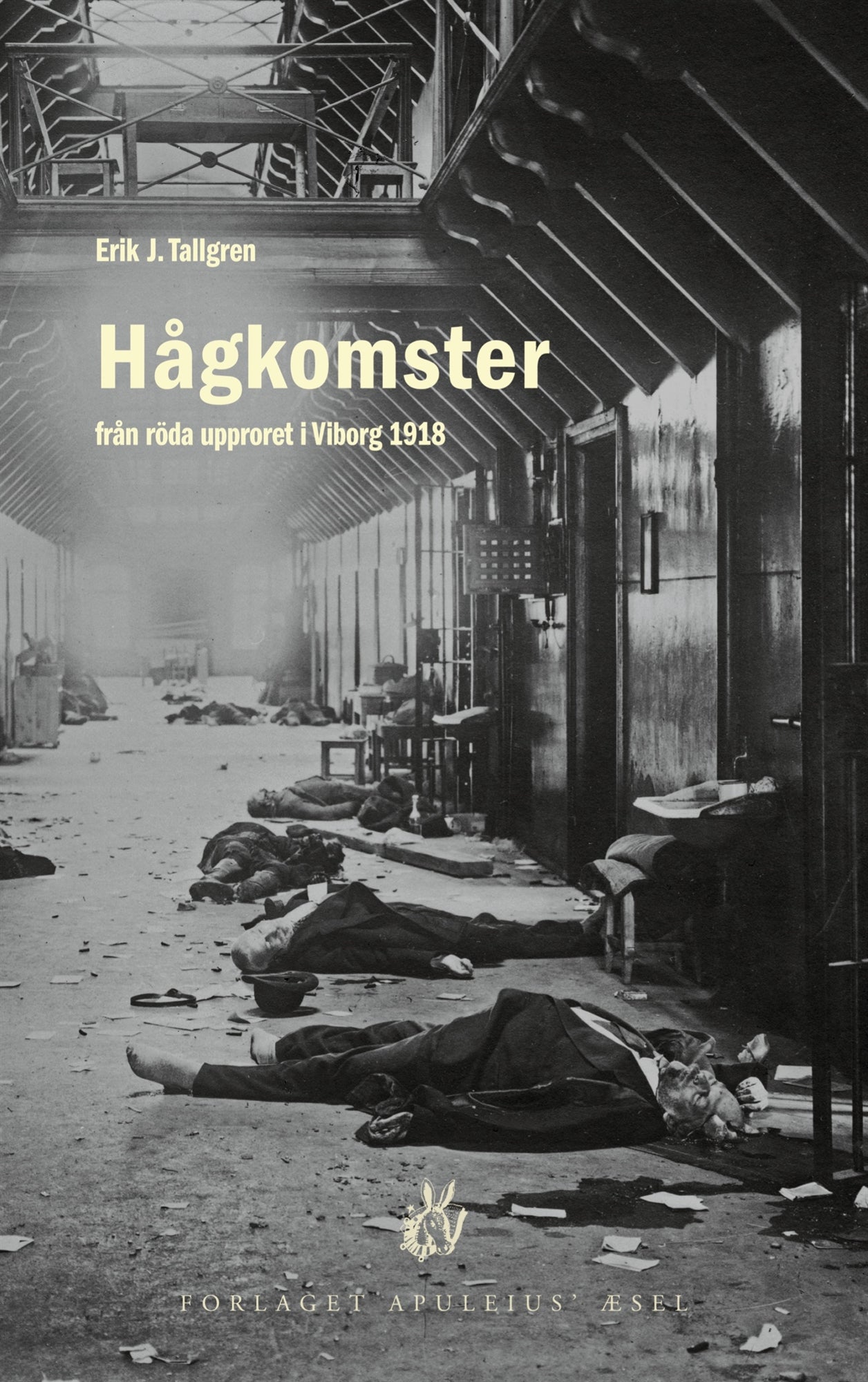 Hågkomster från röda upproret i Viborg 1918 – E-bok