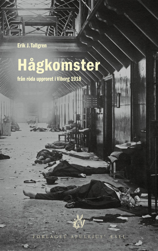 Hågkomster från röda upproret i Viborg 1918 – E-bok
