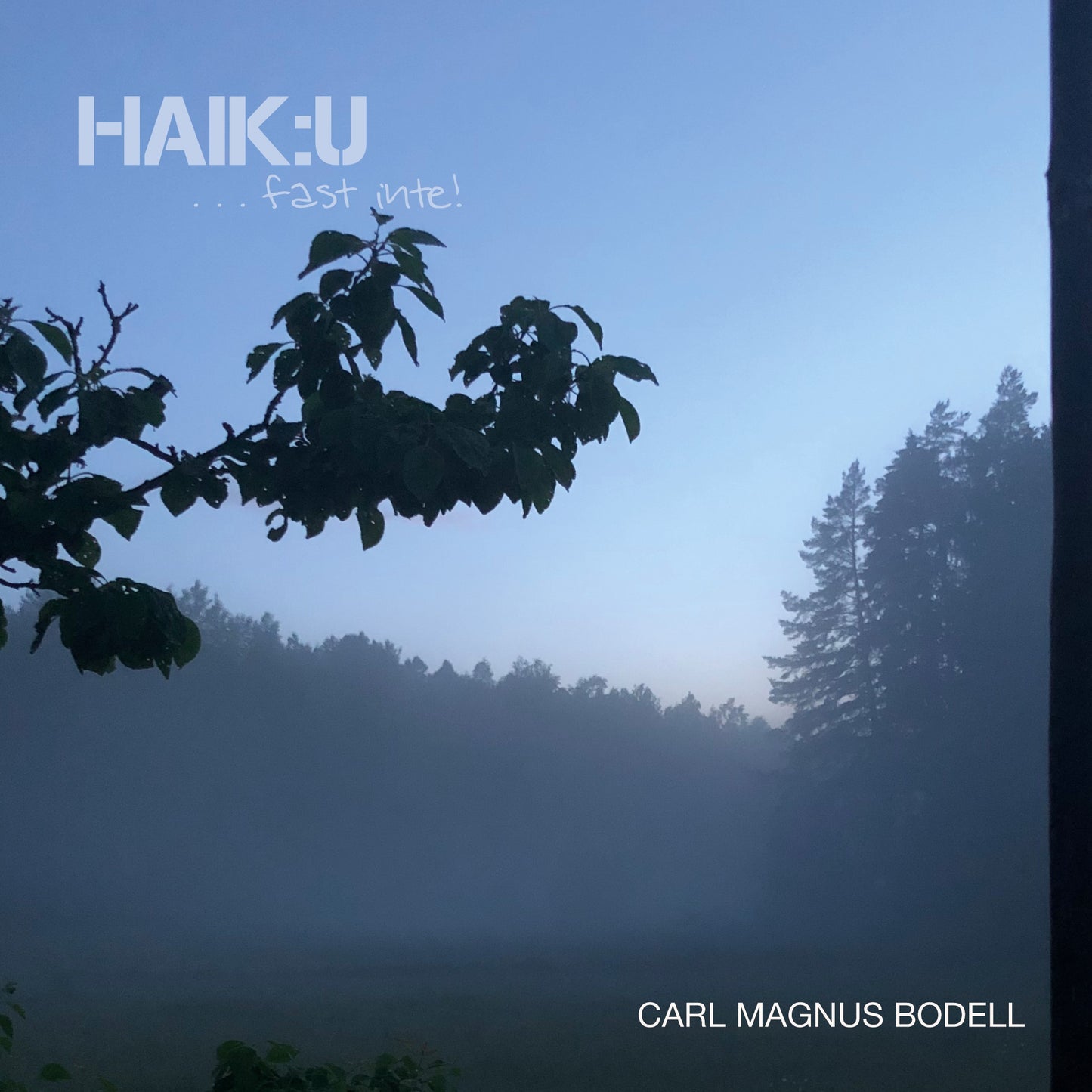 Haik:u ...fast inte – E-bok