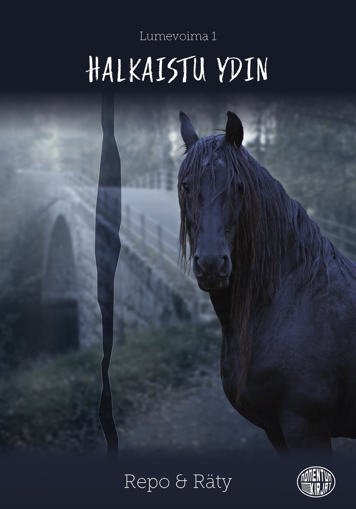 Halkaistu ydin – E-bok