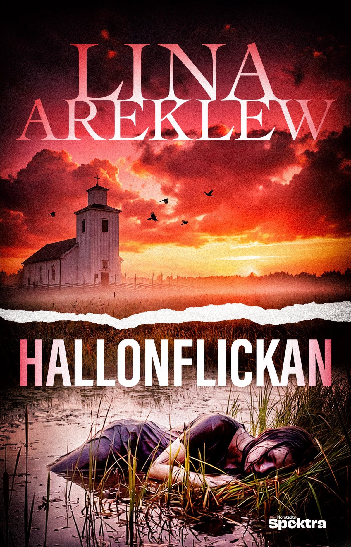 Hallonflickan – E-bok