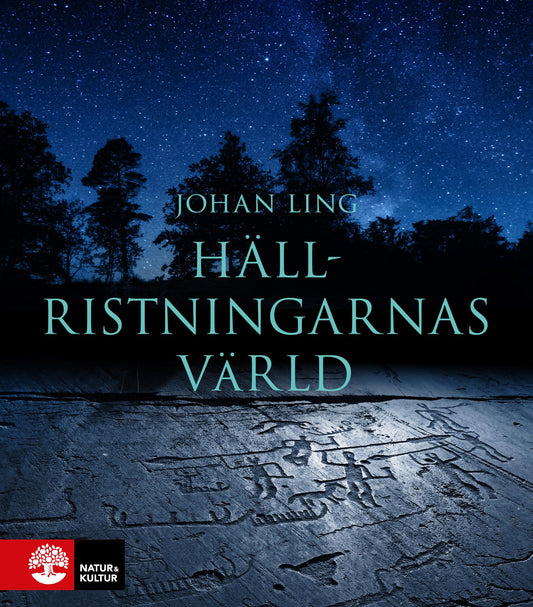 Hällristningarnas värld – E-bok
