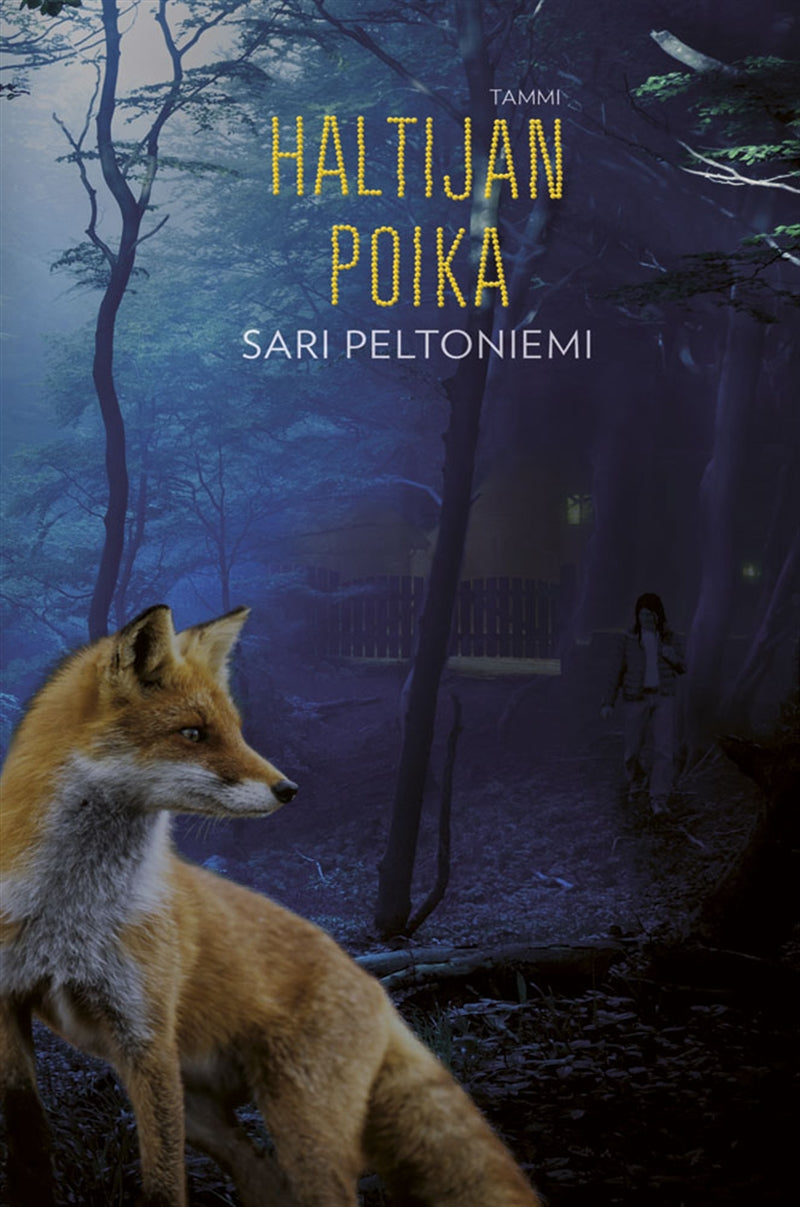 Haltijan poika – E-bok