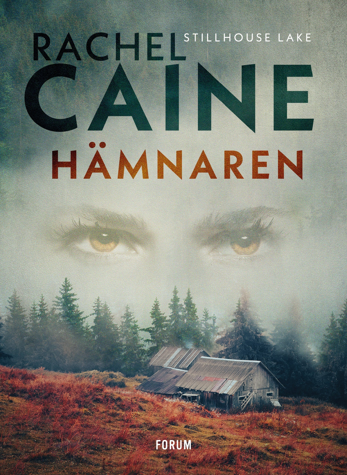 Hämnaren – E-bok