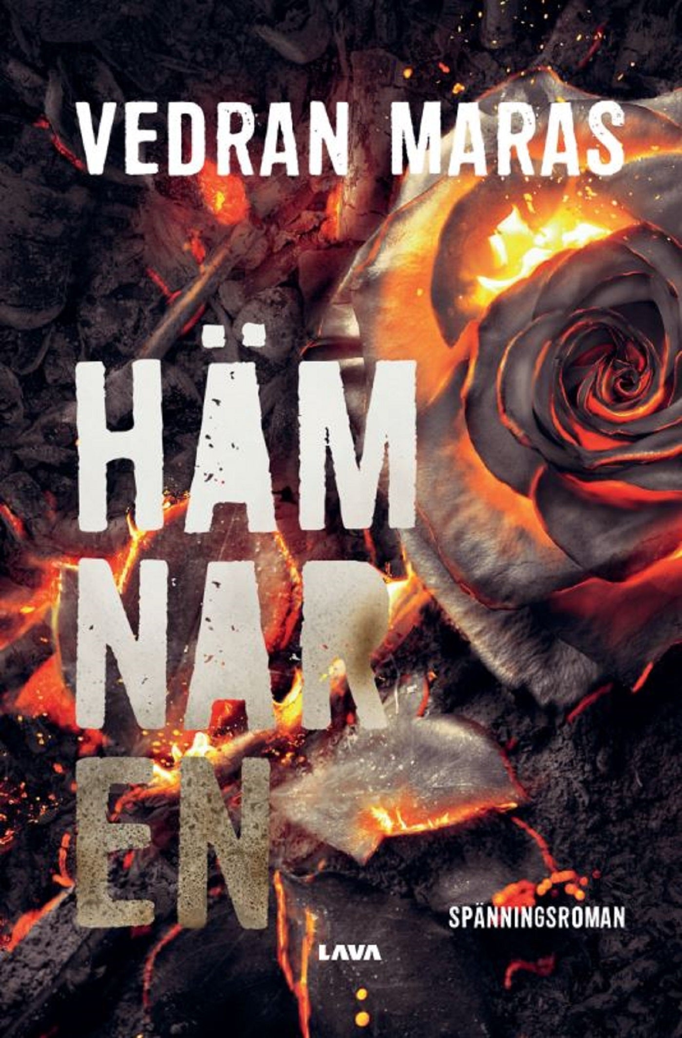 Hämnaren – E-bok