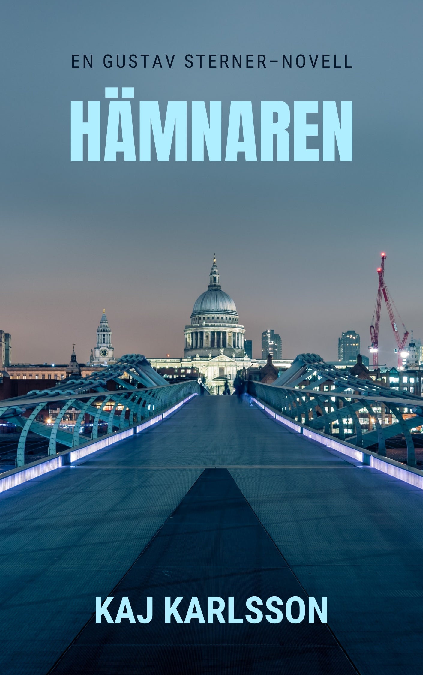 Hämnaren – E-bok