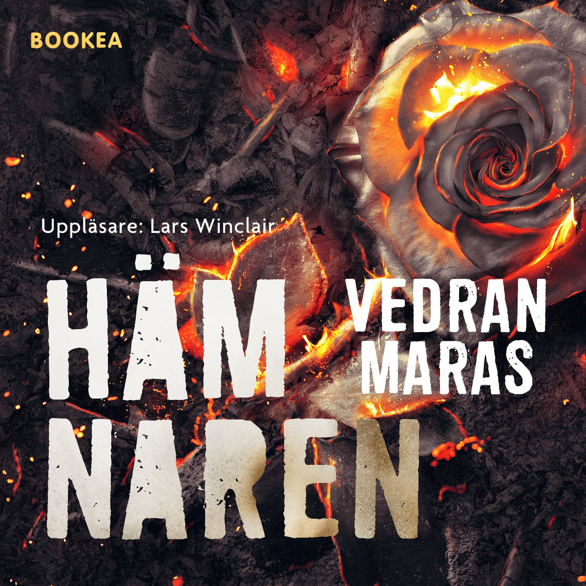 Hämnaren – Ljudbok