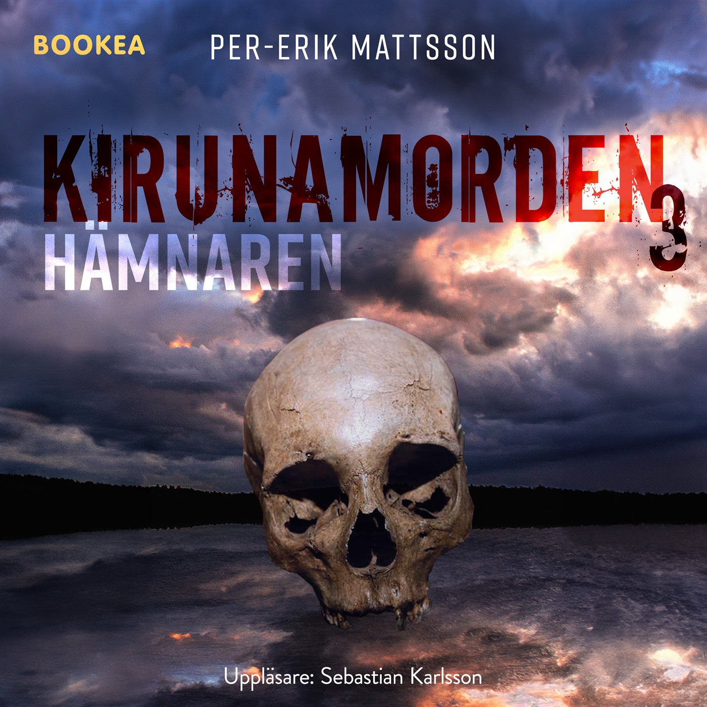 Hämnaren – Ljudbok