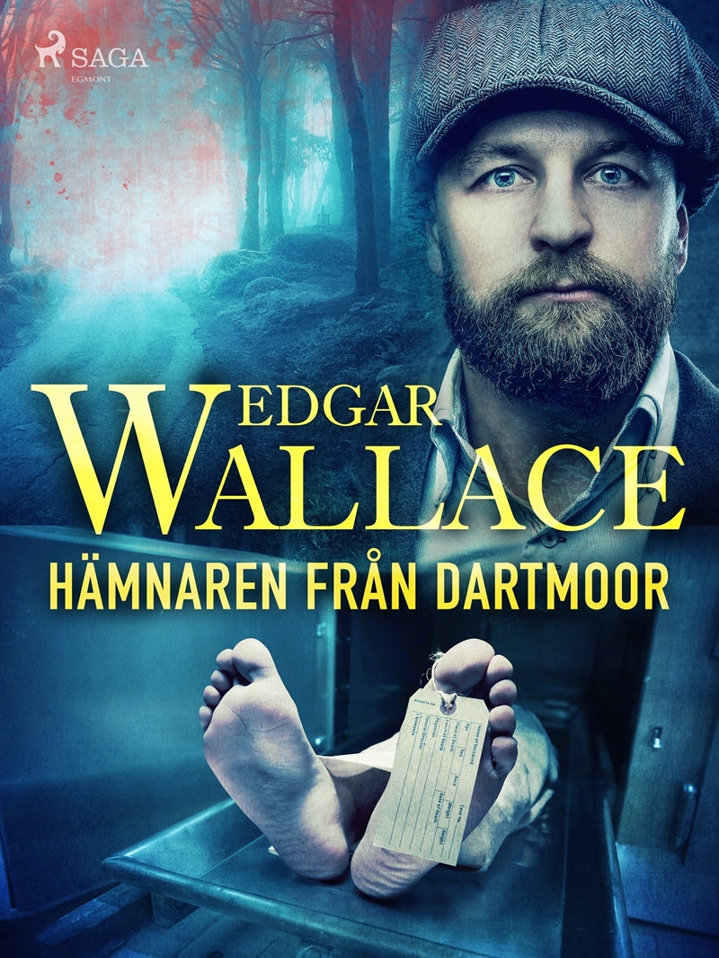 Hämnaren från Dartmoor – E-bok