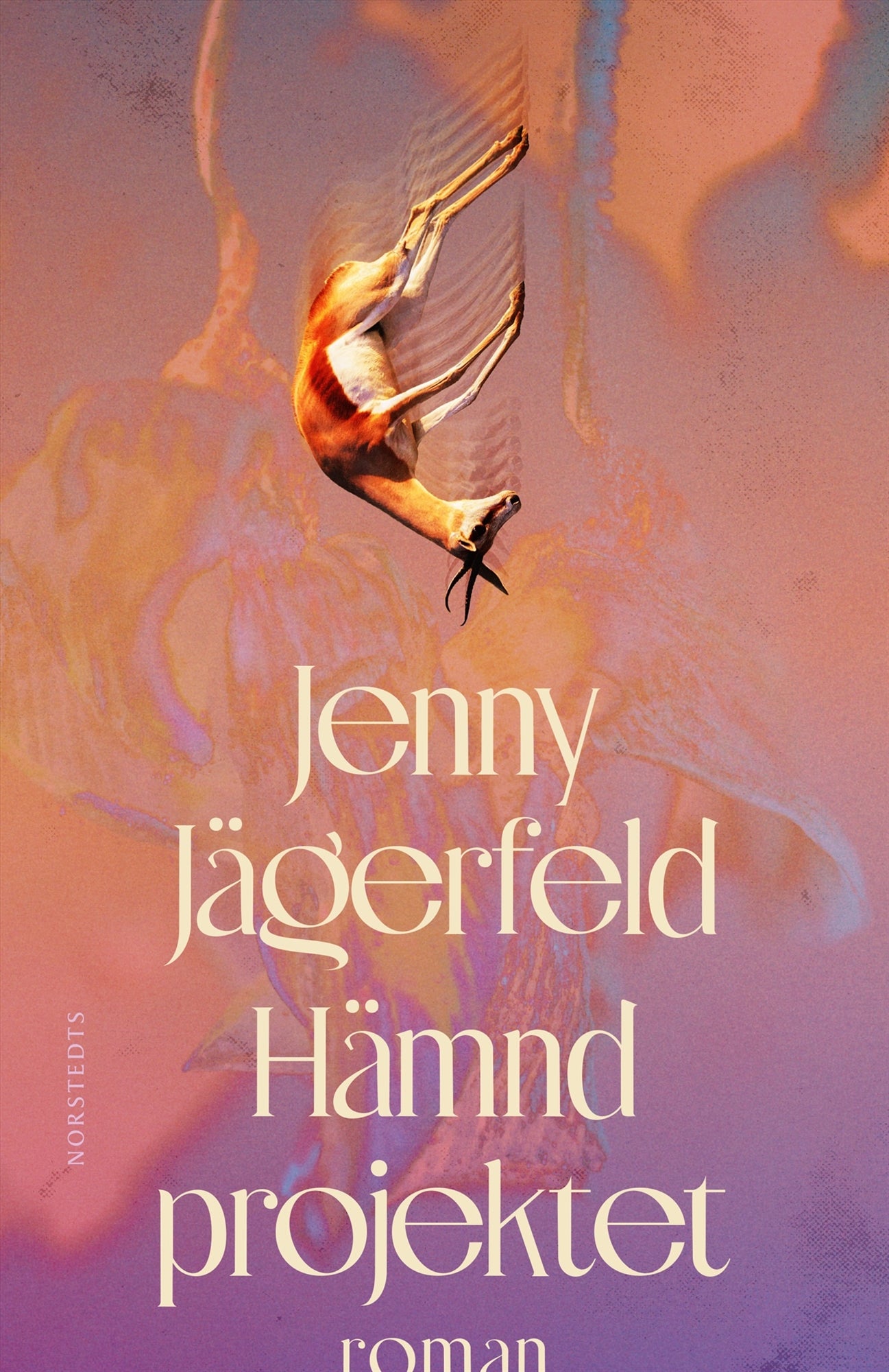 Hämndprojektet – E-bok