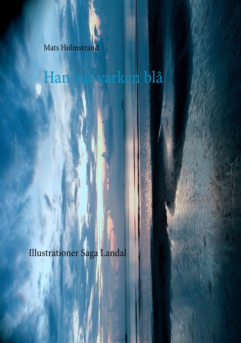 Han var varken blå: Mannen som hängde i slussen – E-bok