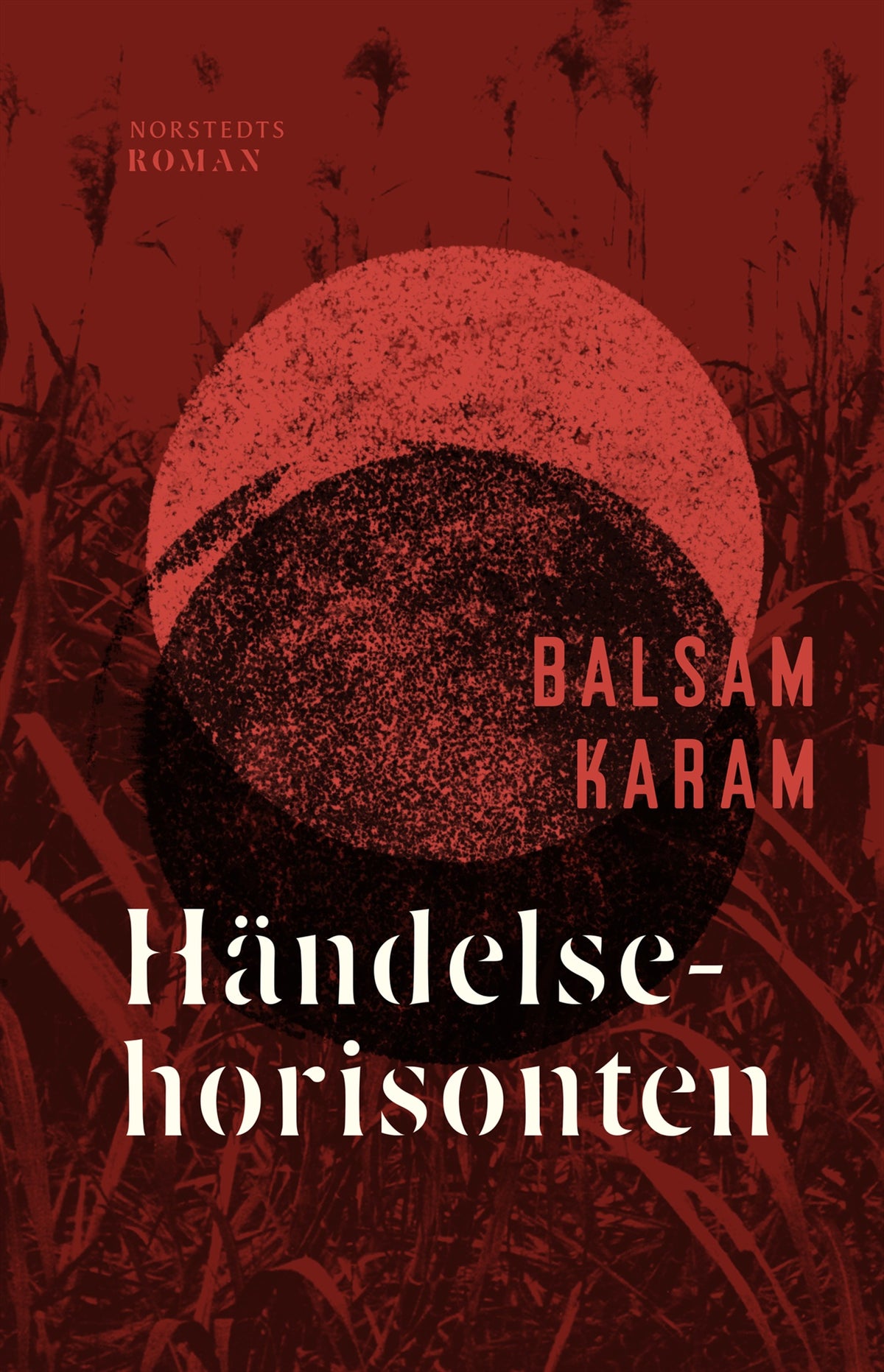 Händelsehorisonten – E-bok