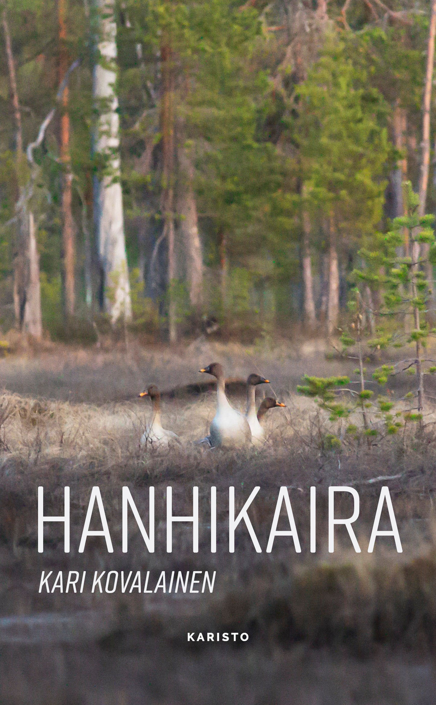 Hanhikaira – E-bok