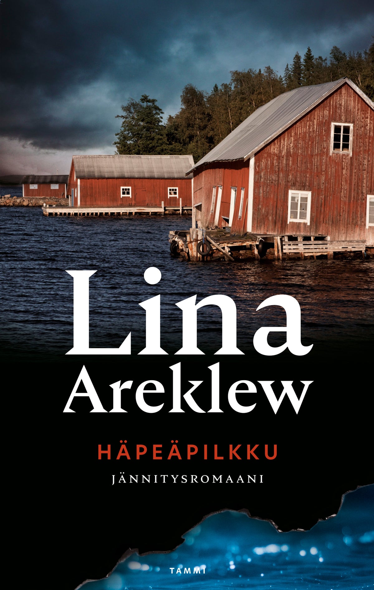 Häpeäpilkku – E-bok