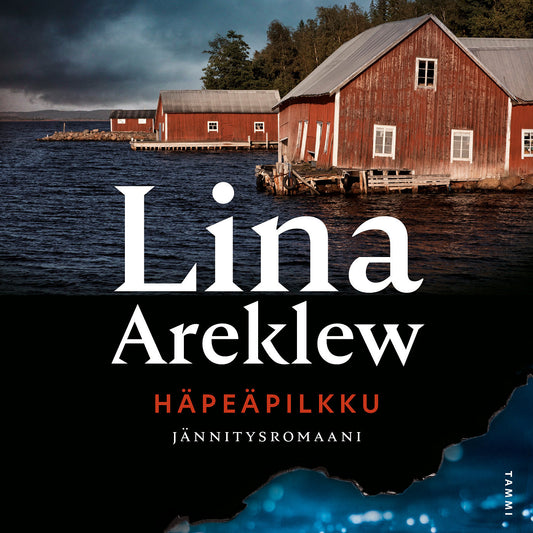 Häpeäpilkku – Ljudbok
