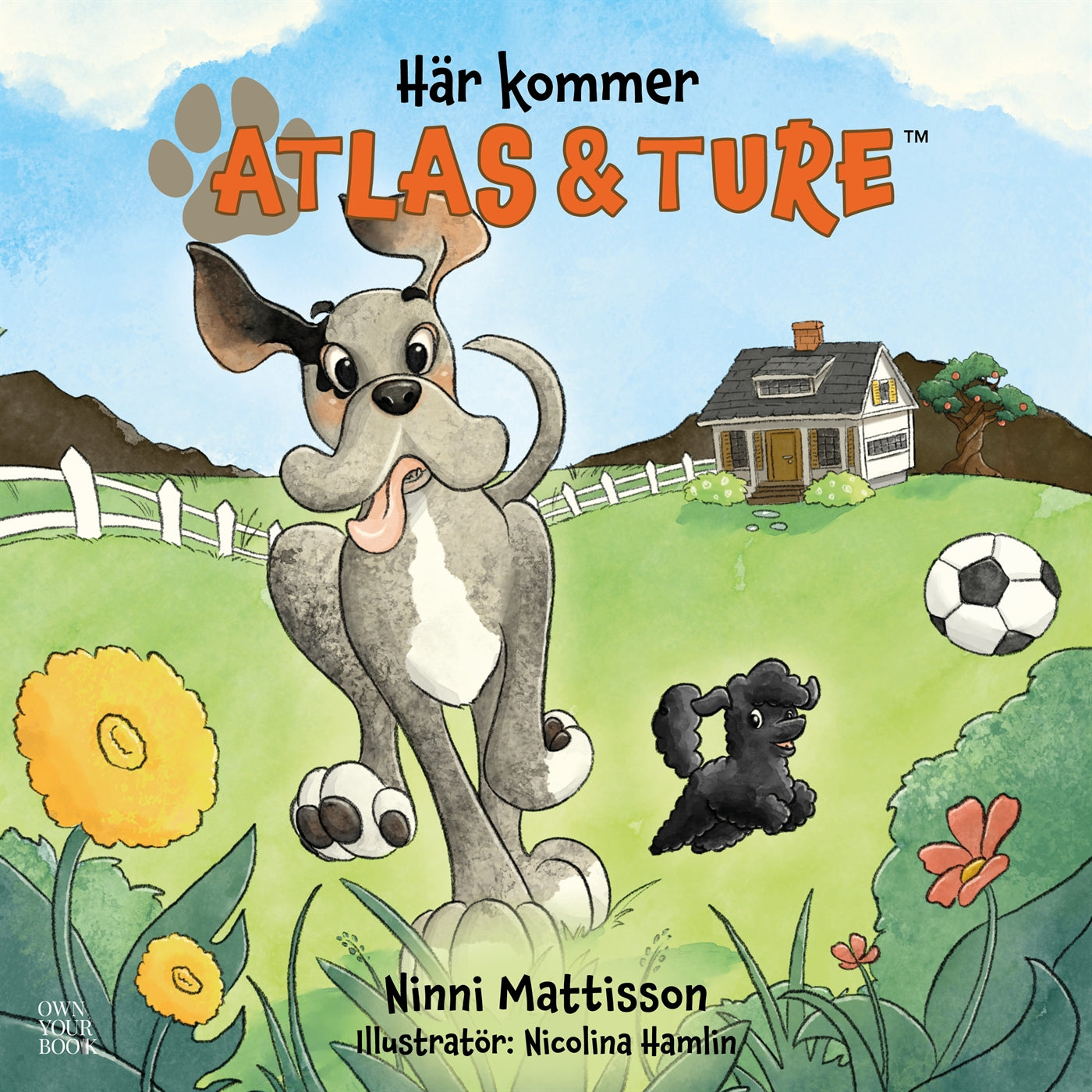 Här kommer Atlas och Ture (lyssna och läs) – E-bok
