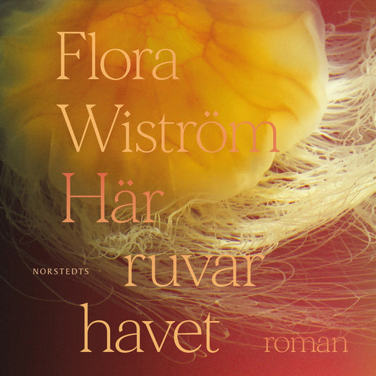 Här ruvar havet – Ljudbok