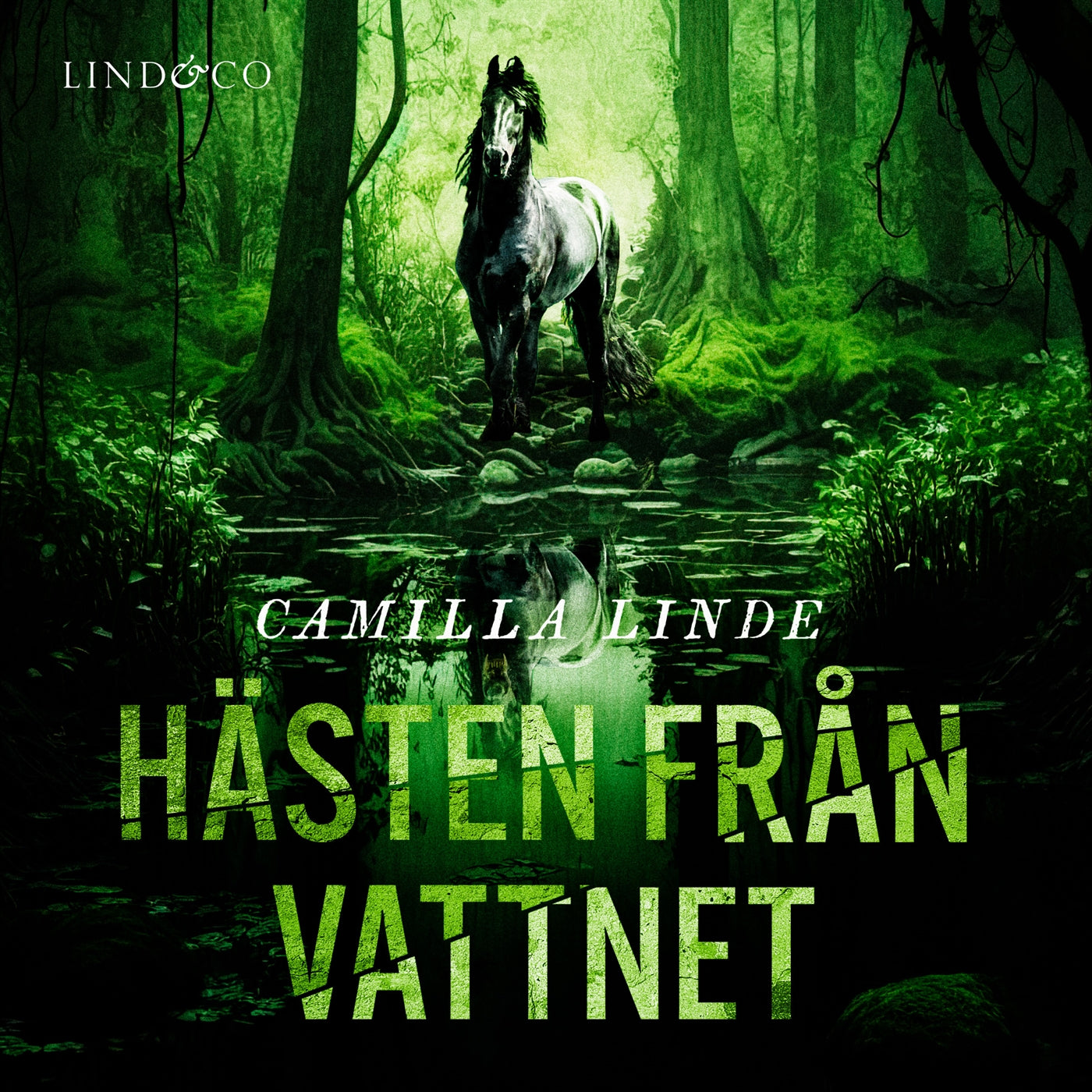 Hästen från vattnet  – Ljudbok