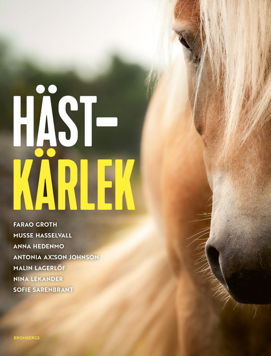 Hästkärlek – E-bok