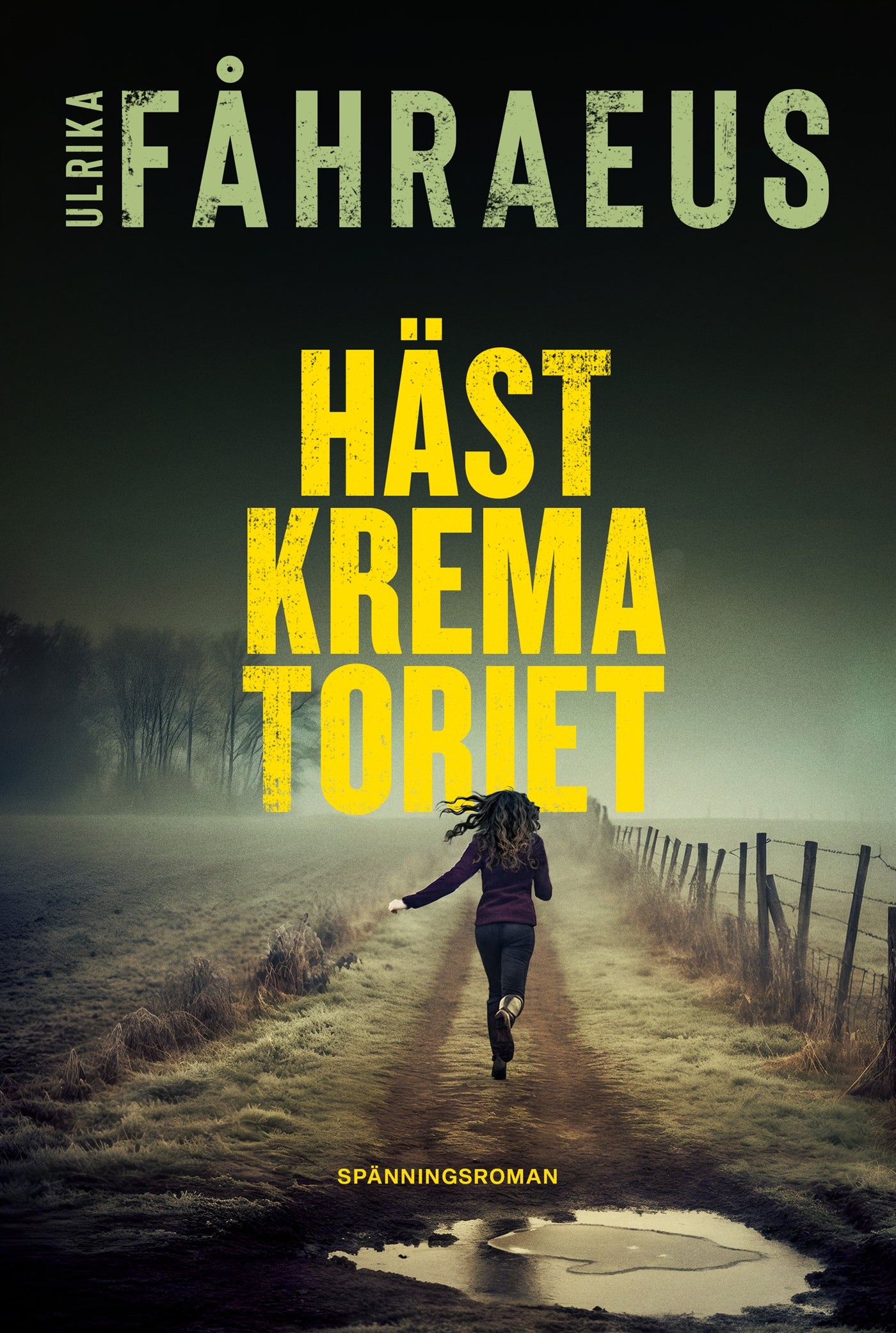 Hästkrematoriet – E-bok