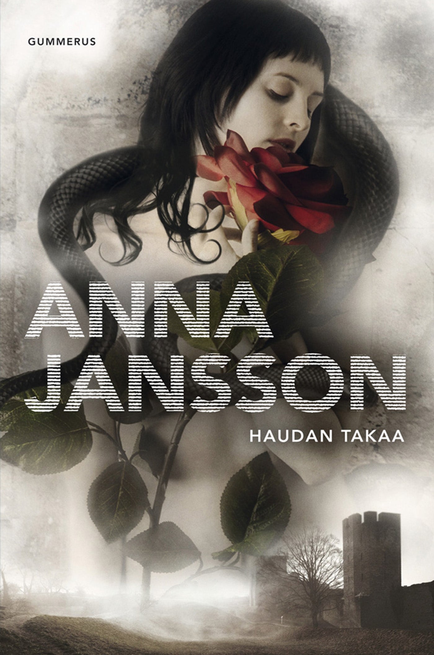 Haudan takaa – E-bok