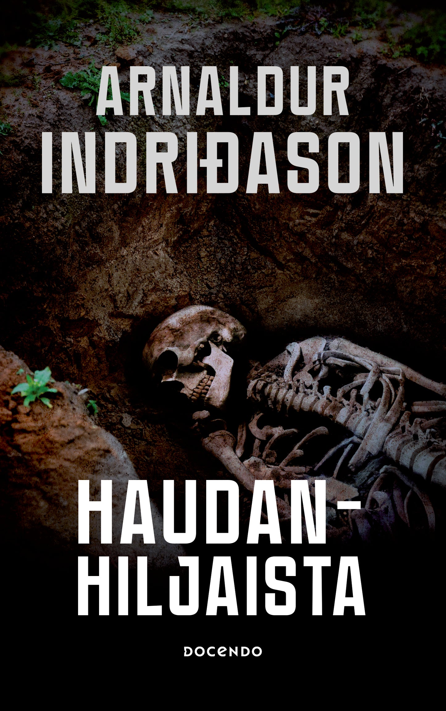 Haudanhiljaista – E-bok