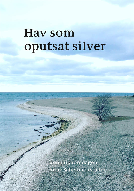 Hav som oputsat silver: #enhaikuomdagen – E-bok