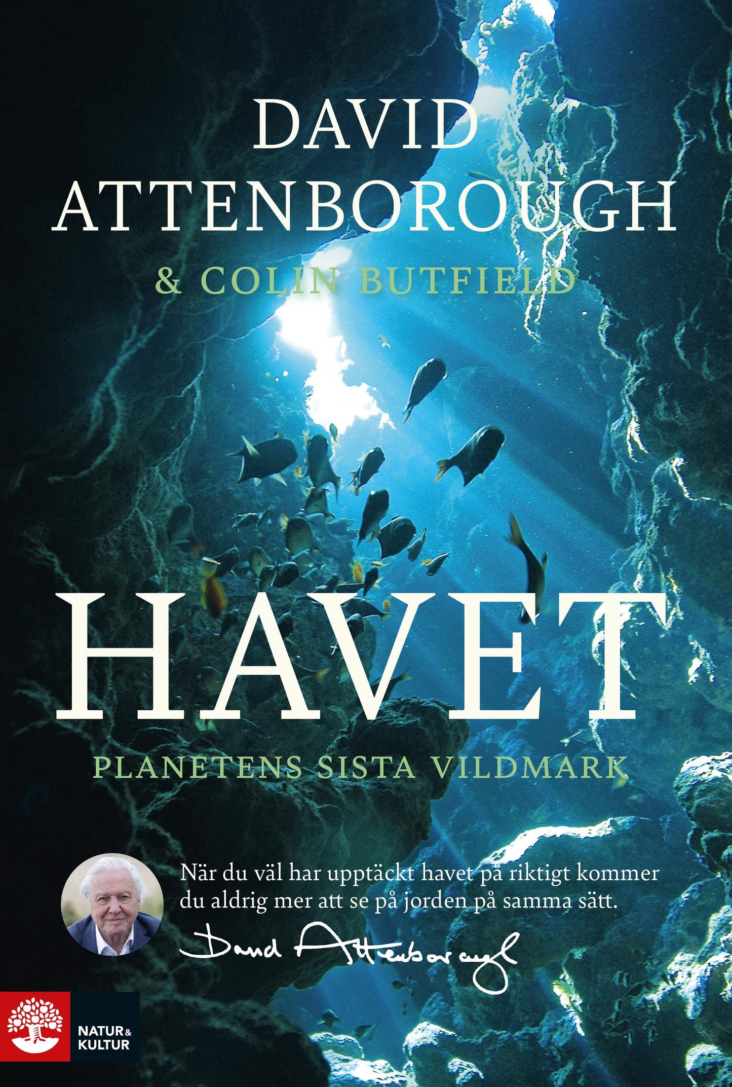 Havet : planetens sista vildmark – E-bok