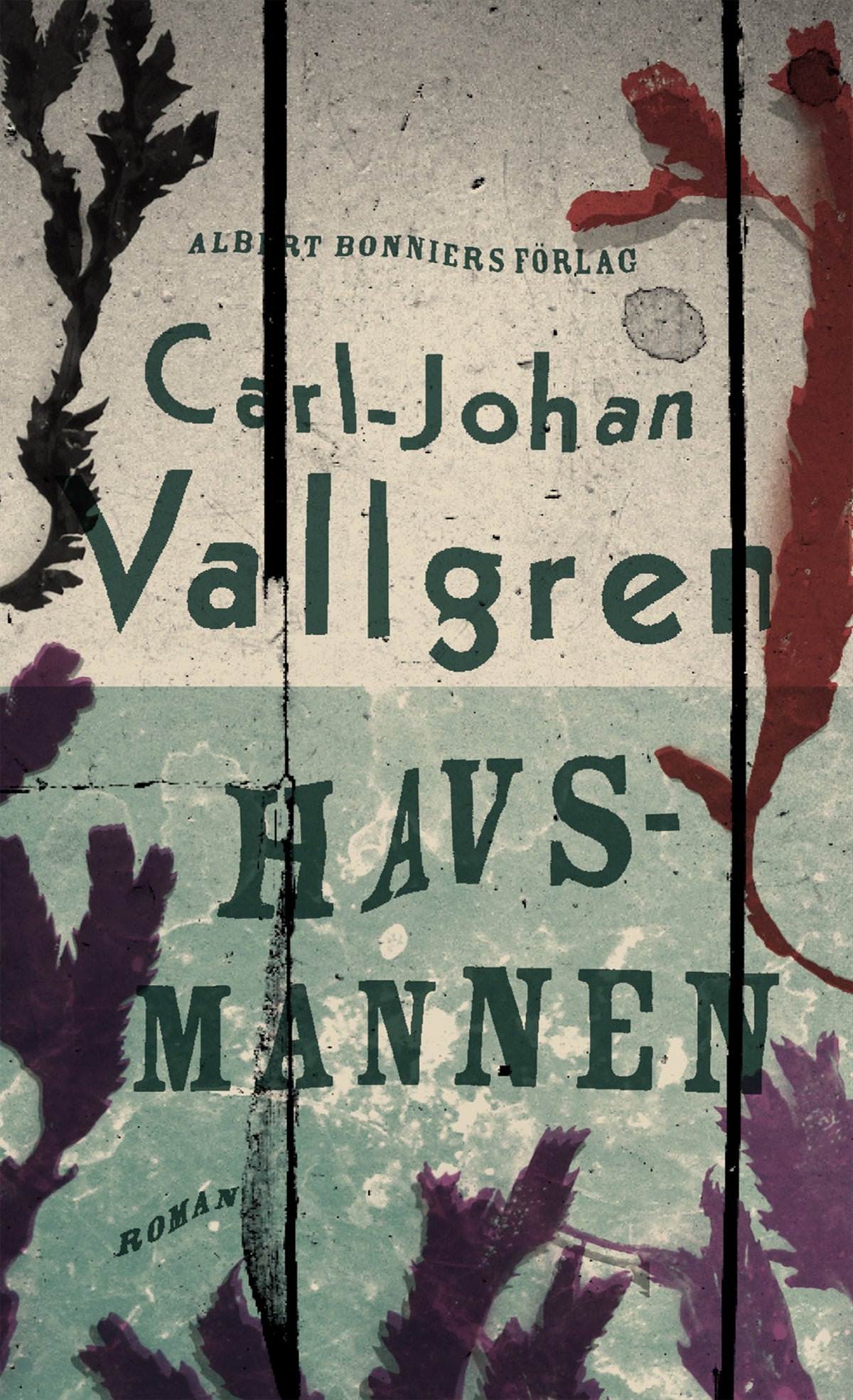 Havsmannen – E-bok