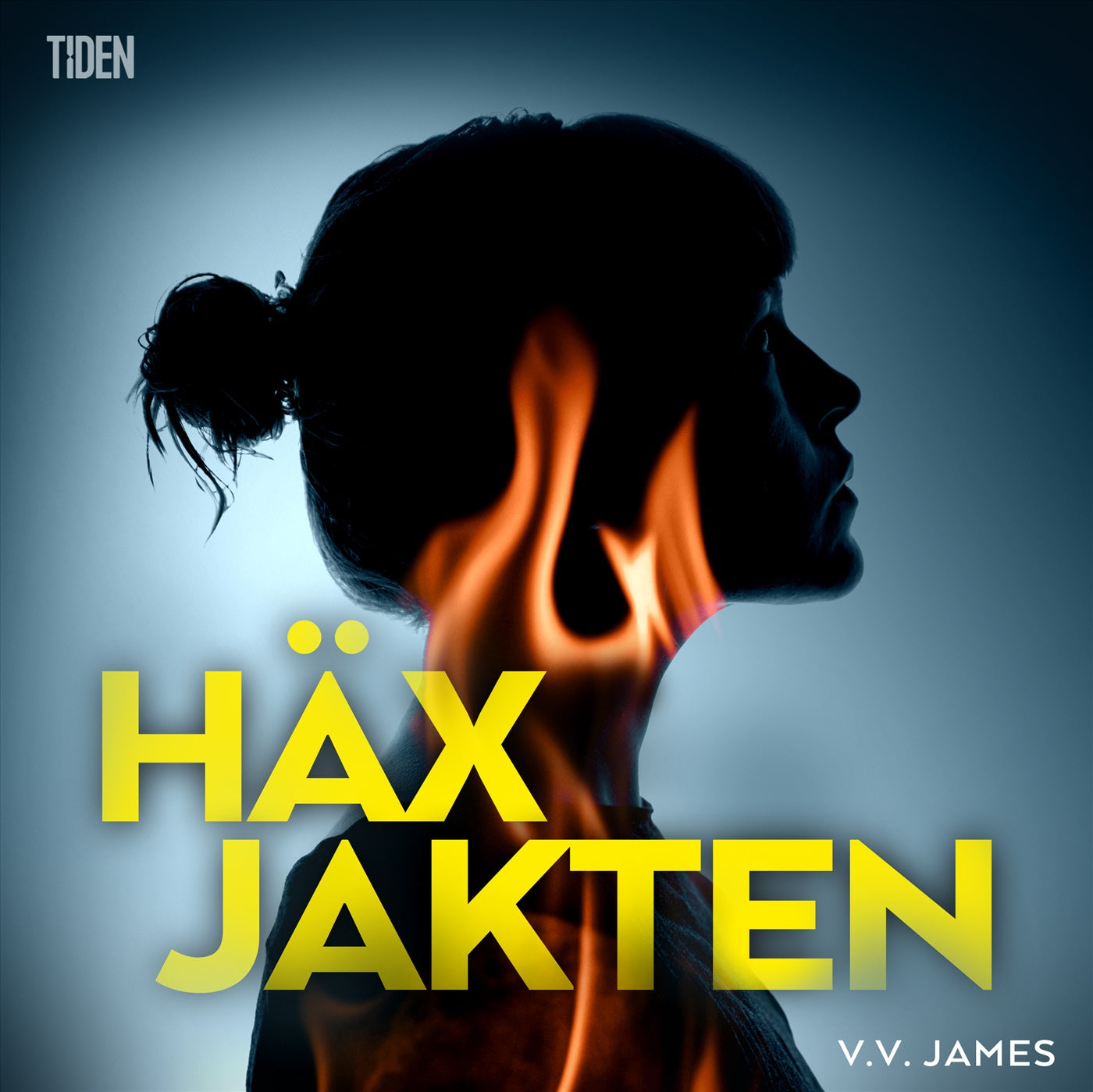 Häxjakten – Ljudbok