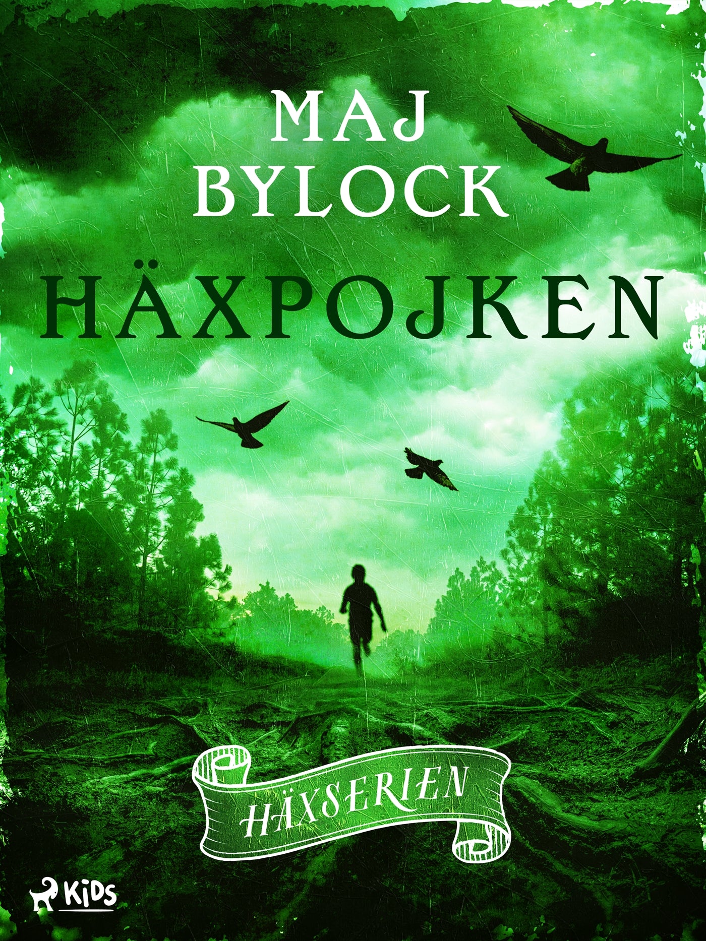 Häxpojken – E-bok