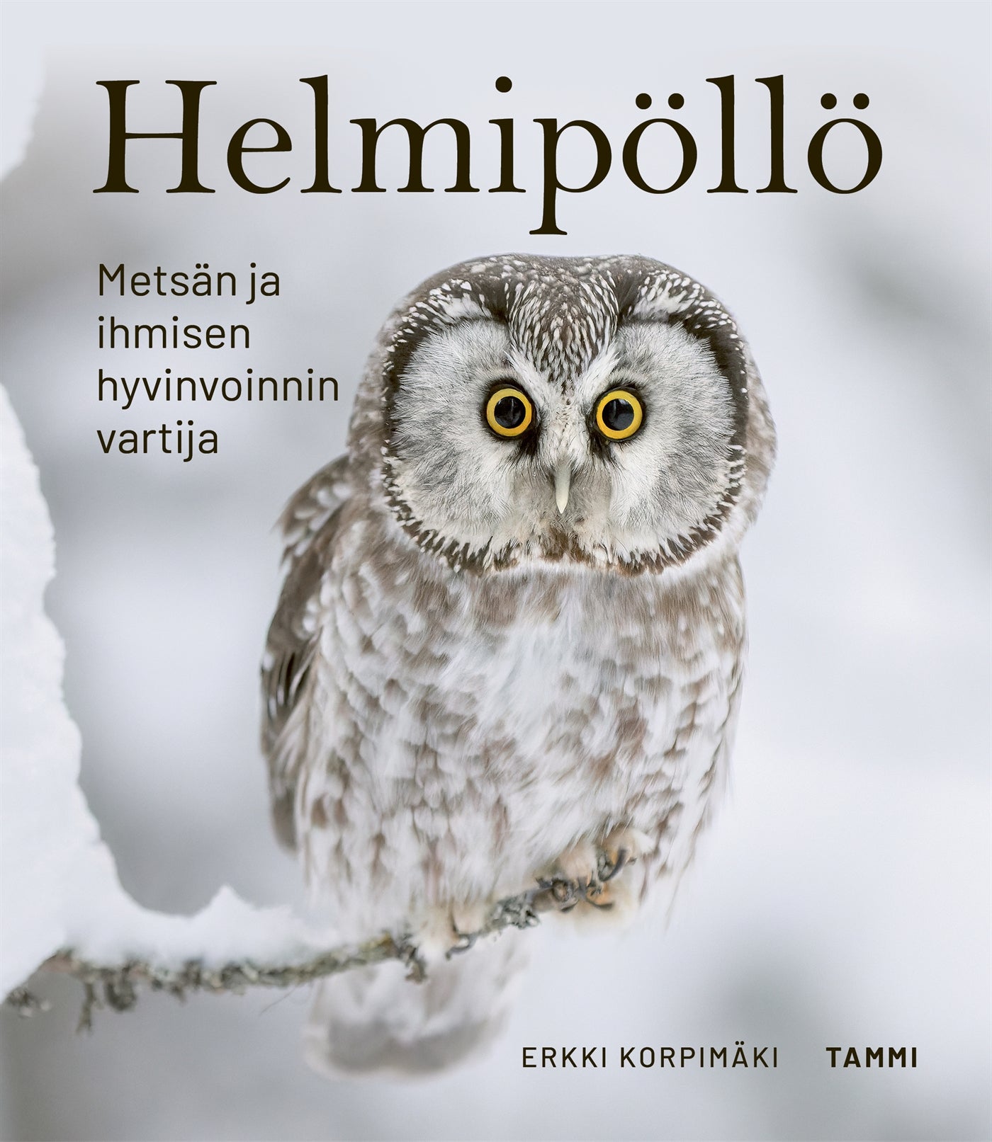 Helmipöllö – E-bok