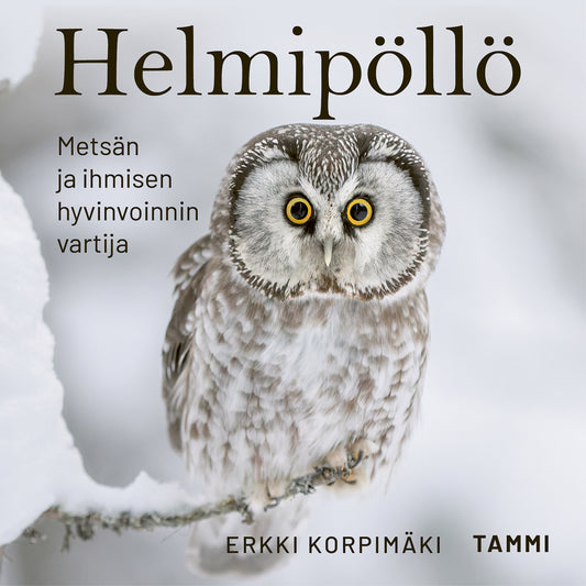 Helmipöllö – Ljudbok