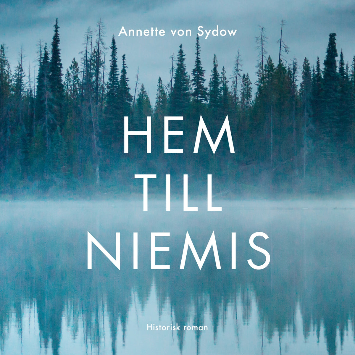 Hem till Niemis – Ljudbok