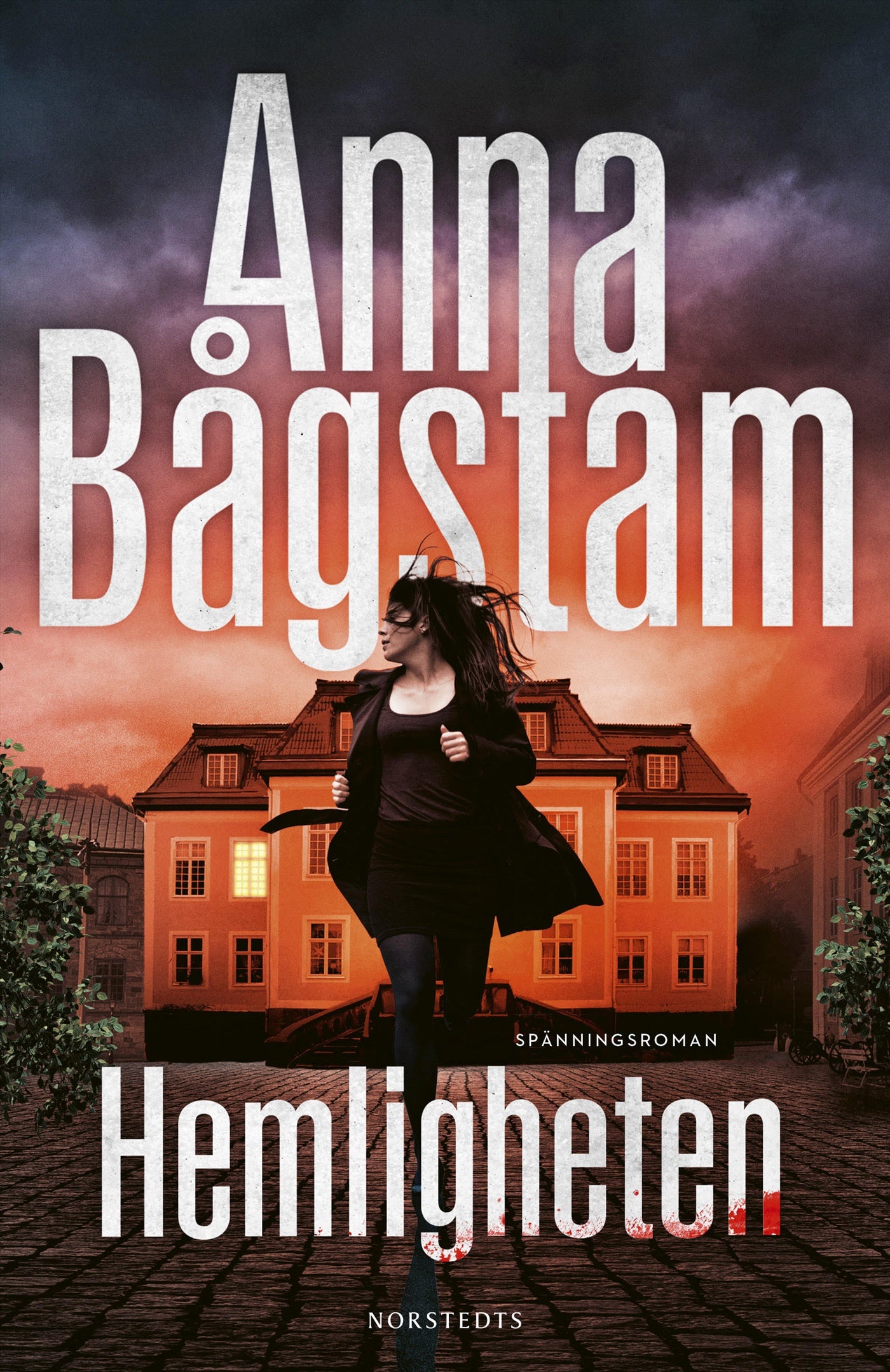 Hemligheten – E-bok