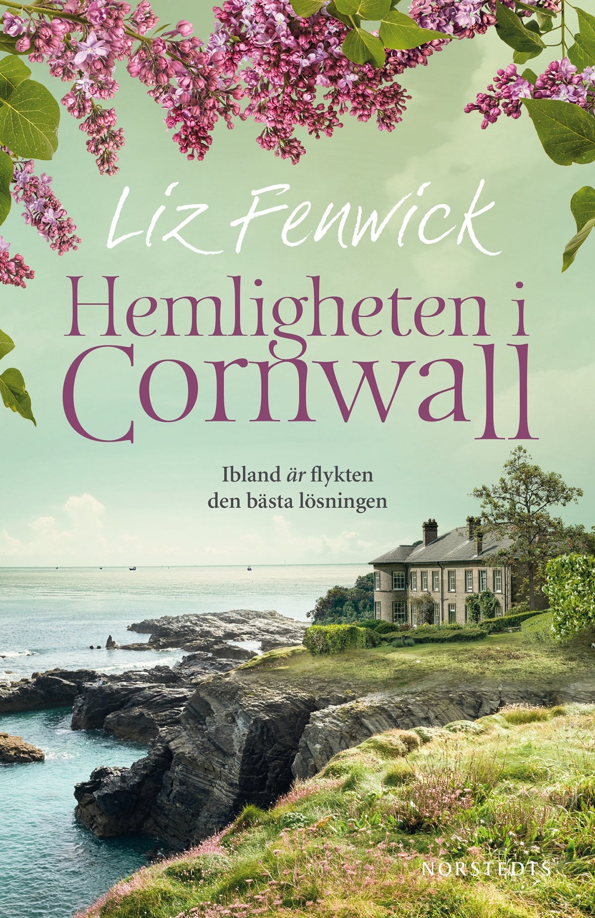 Hemligheten i Cornwall – E-bok